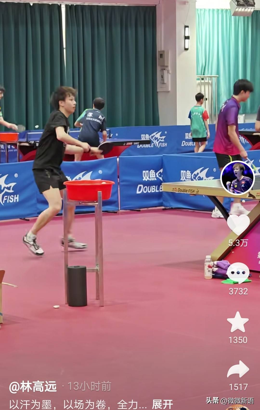 体育APP下载-韩国队轻取德国队，林高远关键制胜