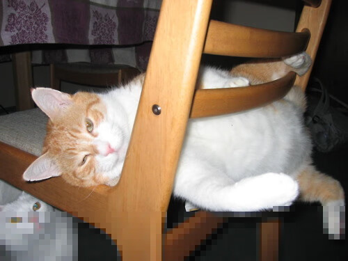 官网-改写足球的命运，阿什拉夫·哈基米与那场颠覆旧大陆的新世界宣言