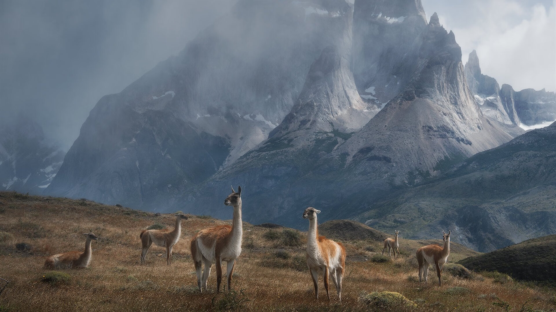 开云体育平台APP-94分钟，贝恩从罪人到英雄