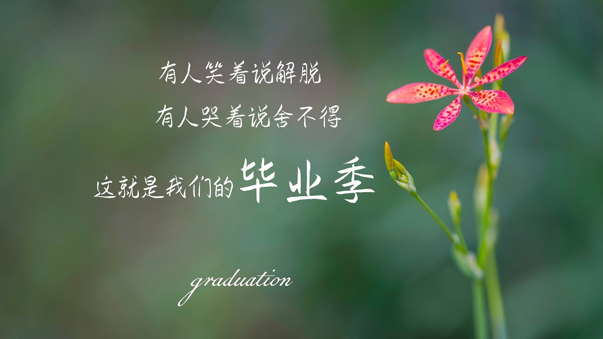 当领袖拉满评级，当信念刺破黎明—同一夜的两个奇迹